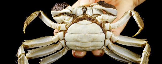 螃蟹怎麼長期保存鮮度如初 螃蟹如何保存