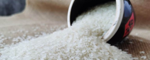 怎麼儲存米不生蟲子 如何儲存米不生蟲子
