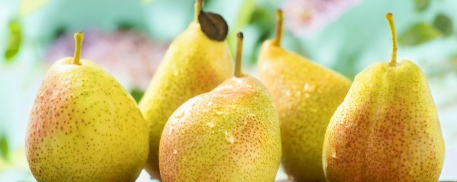 吃梨子的好處有哪些 梨對人體的功效
