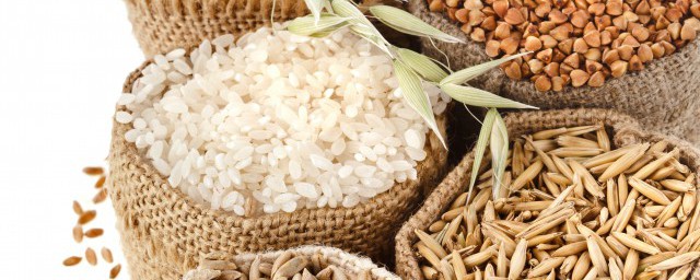 盆栽水稻怎麼種附案例 怎麼種盆栽水稻