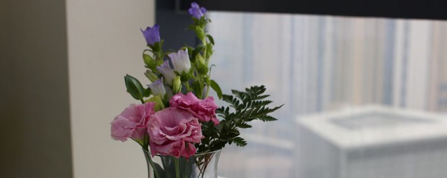 最適合擺放在餐桌上的三種花 什麼花適合擺放在餐桌