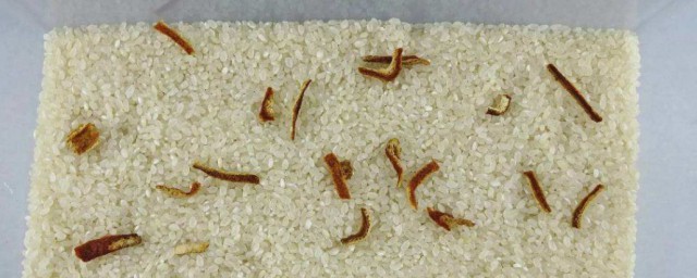 大米不生蟲子的方法 怎麼讓大米不生蟲子