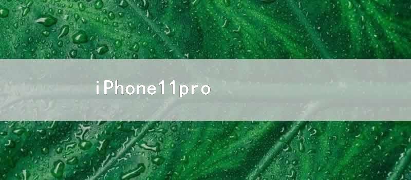 iPhone11pro