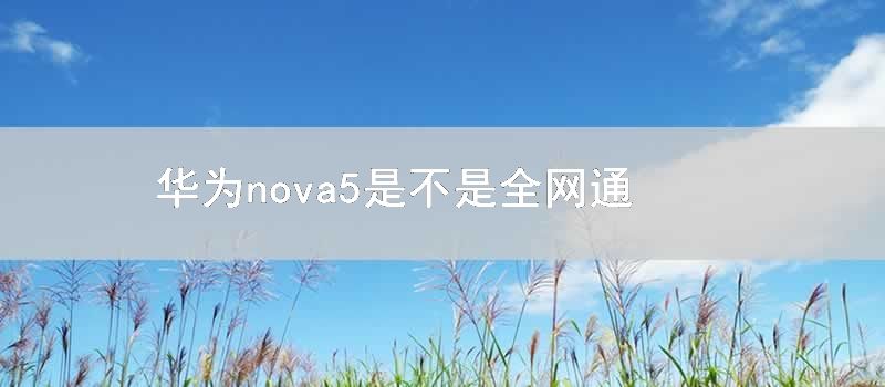 華為nova5是不是全網通