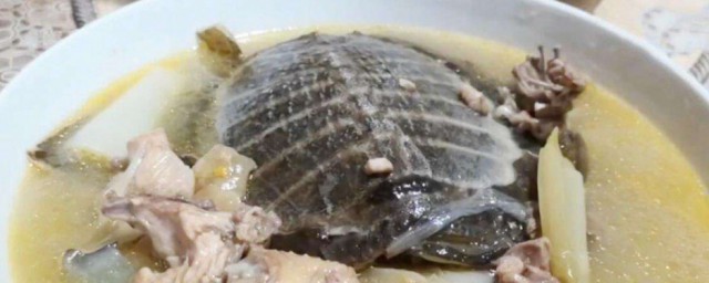 清燉鱉湯的做法 清燉鱉湯怎麼做