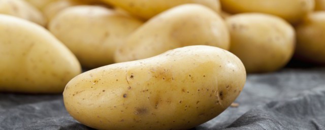 巧用發芽土豆的實用小妙招 盤點發芽土豆的妙用