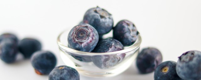 吃藍莓對身體有什麼好處 盤點吃藍莓的好處