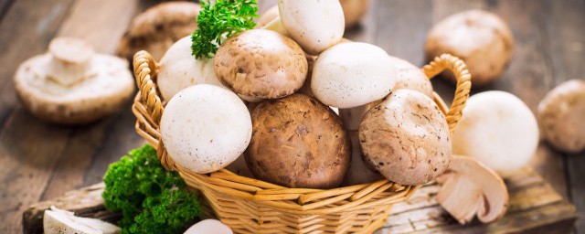 怎麼炒蘑菇好吃 如何做炒蘑菇好吃