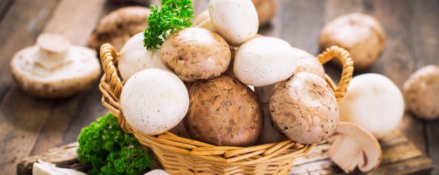 白蘑菇怎麼炒好吃 白蘑菇如何炒好吃