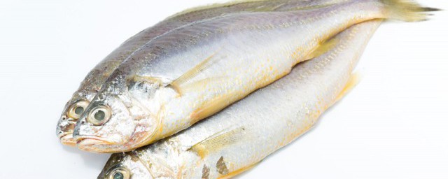黃花魚怎麼煎才好吃 黃花魚如何煎才好吃