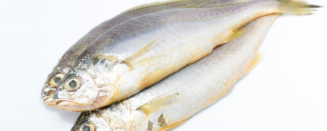 紅燒黃花魚怎麼做最好吃 紅燒黃花魚的做法