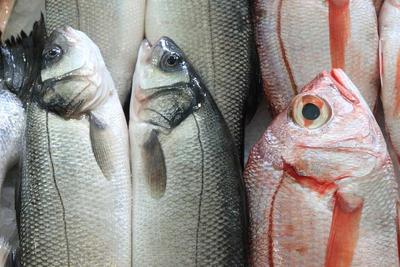 淋病非淋菌尿道炎可以吃魚嗎