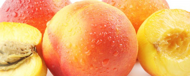 油桃的桃核怎麼種 油桃的桃核種植方法