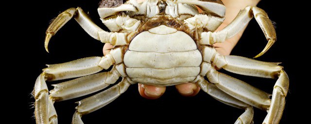 吃螃蟹對身體好不好 吃螃蟹對身體好嗎