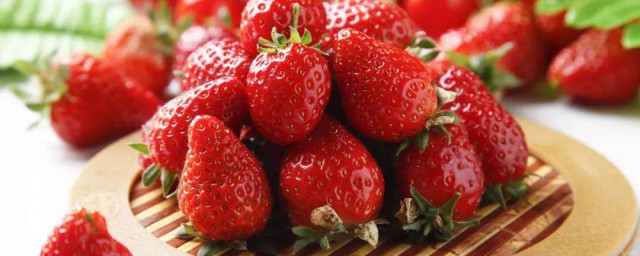 草莓為什麼那麼貴 草莓貴的原因
