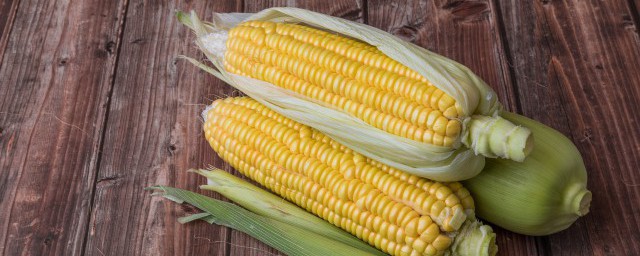 玉米煮完後怎麼保存 熟玉米存放技巧