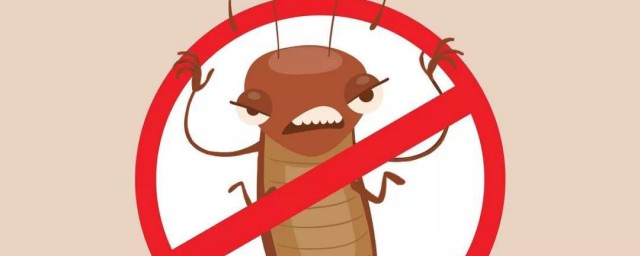 蟑螂的天敵是誰 蟑螂的天敵是什麼