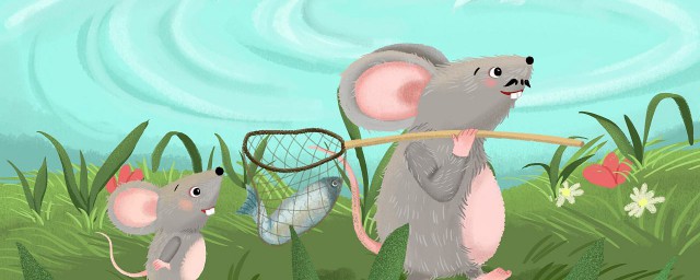 老鼠的故事 關於老鼠的故事