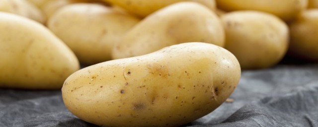 怎麼貯存土豆 貯存土豆的方法
