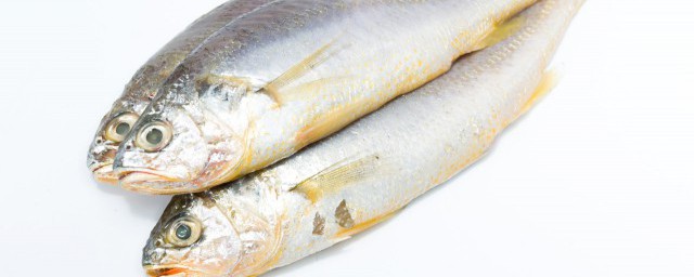 凍魚保質期一般多久 凍魚保質期一般多長時間