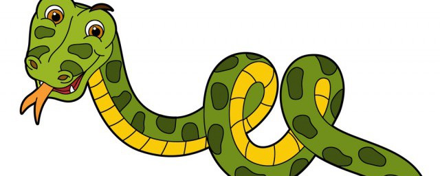 蛇蛋長什麼樣 關於蛇的相關介紹
