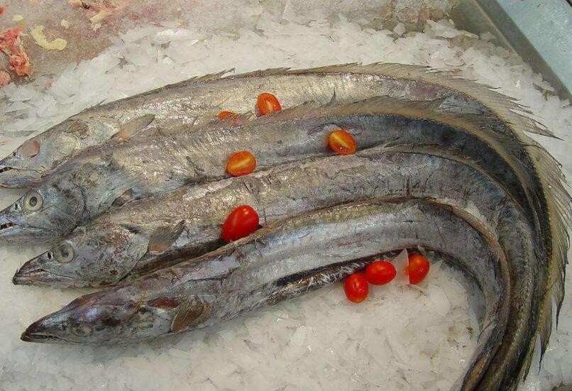 冰箱冷凍魚怎麼保存