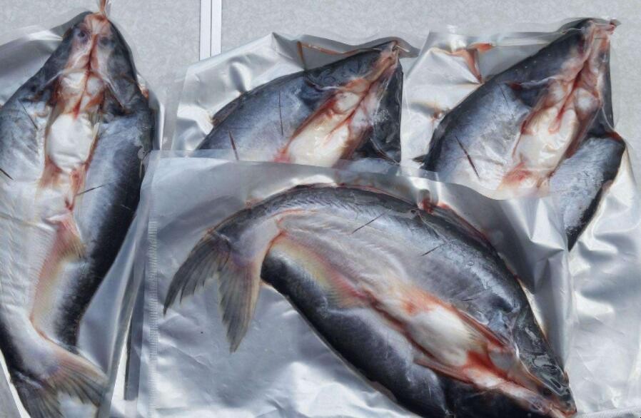 巴沙魚的營養價值是什麼
