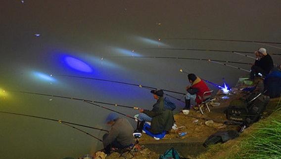 冬天夜釣魚口訣有哪些