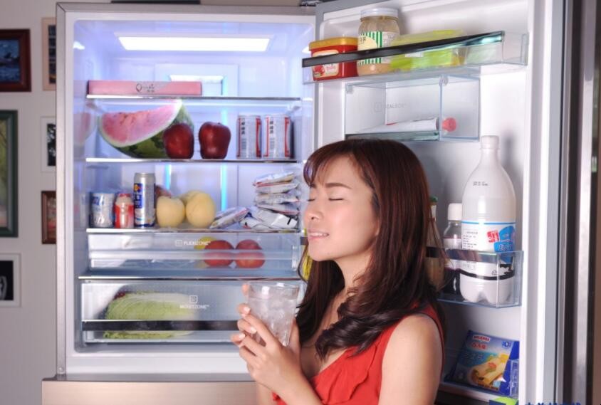 風冷冰箱的常見問題有哪些