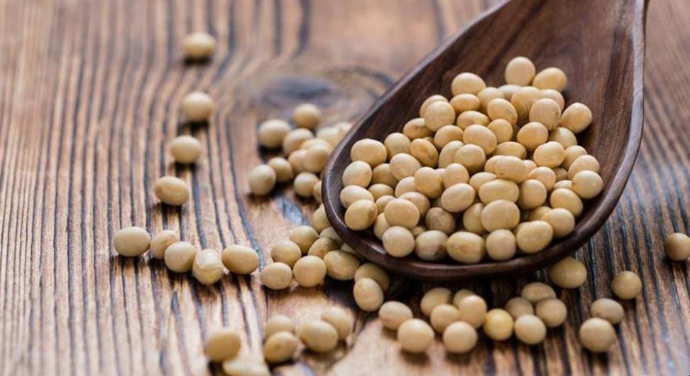 大豆磷脂的作用是什麼