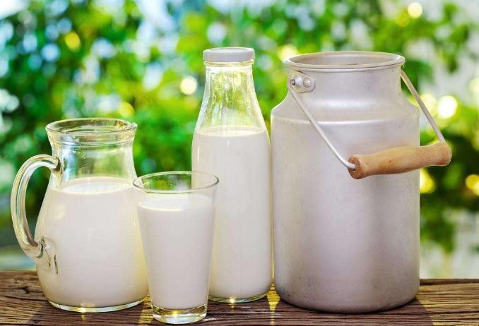 鮮牛奶的功效與作用是什麼