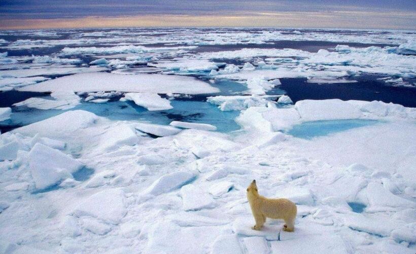 北極海冰融化對全球氣候有哪些影響