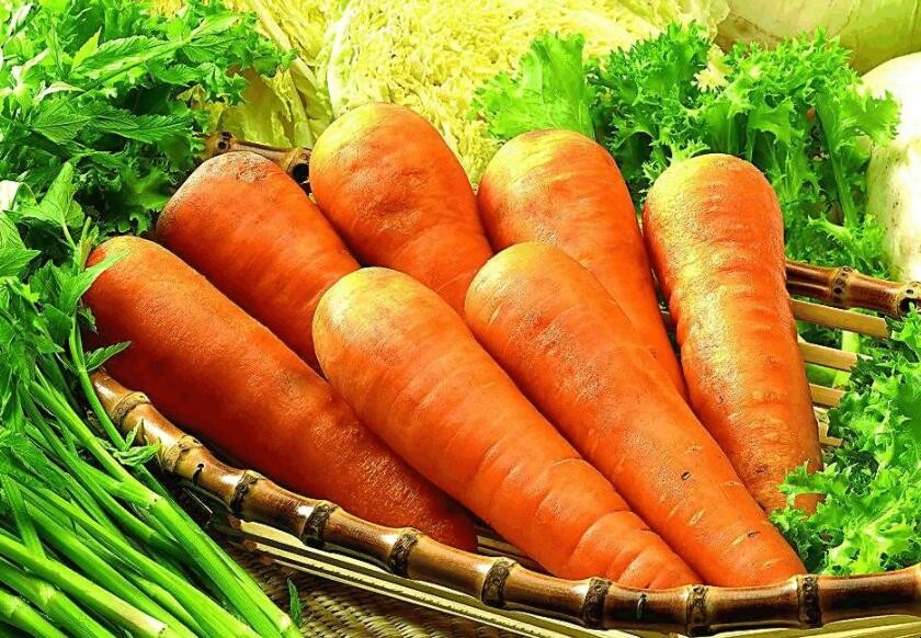 胡蘿卜的種植方法是什麼