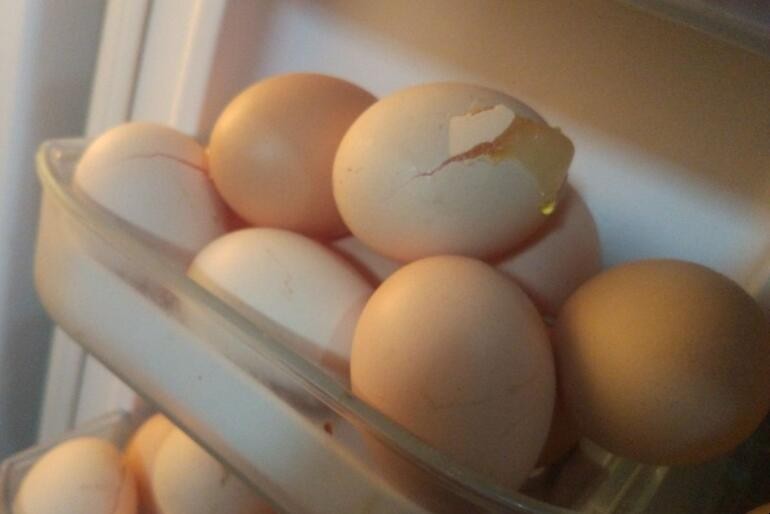 雞蛋放冰箱有哪些危害