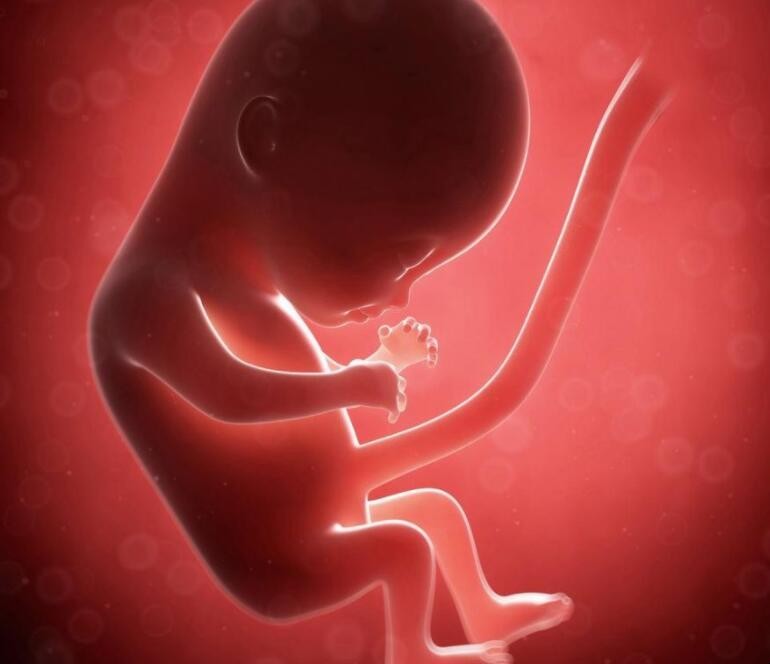 懷6個月男孩胎心率多少