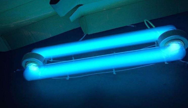 紫外線消毒燈能殺死蟎蟲嗎