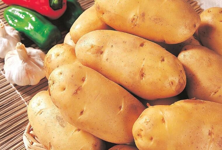 土豆怎麼保存才不長芽