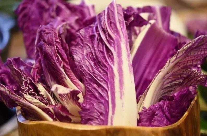 紫白菜怎麼種植