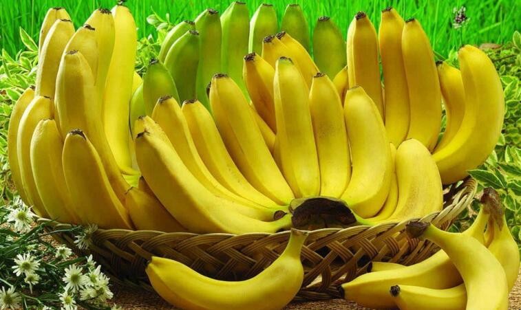 生香蕉怎麼催熟