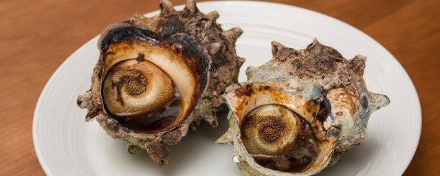 海螺怎麼煮好吃 海螺如何煮好吃
