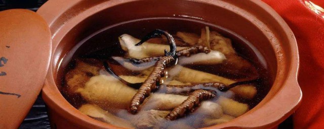冬蟲夏草怎麼燉湯 冬蟲夏草燉湯的做法介紹