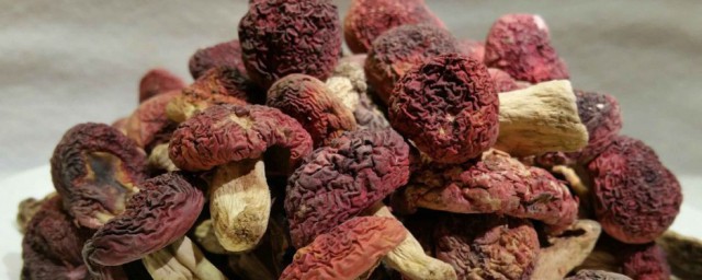 紅菇的做法大全傢常 紅菇的烹飪方法