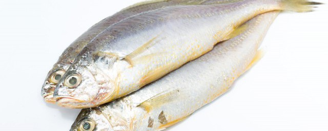 傢常魚的簡易做法大全 傢常魚的烹飪方法
