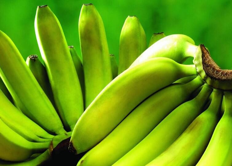 香蕉怎樣催熟
