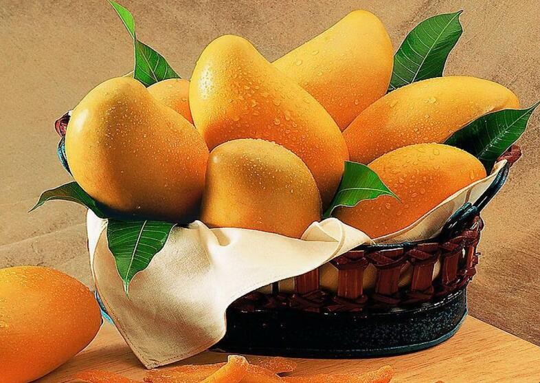 芒果熟瞭可以放冰箱保存嗎