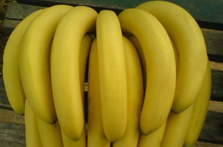 香蕉儲存需要放冰箱嗎