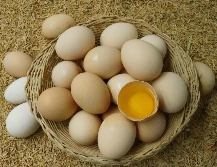 怎樣挑選到新鮮雞蛋