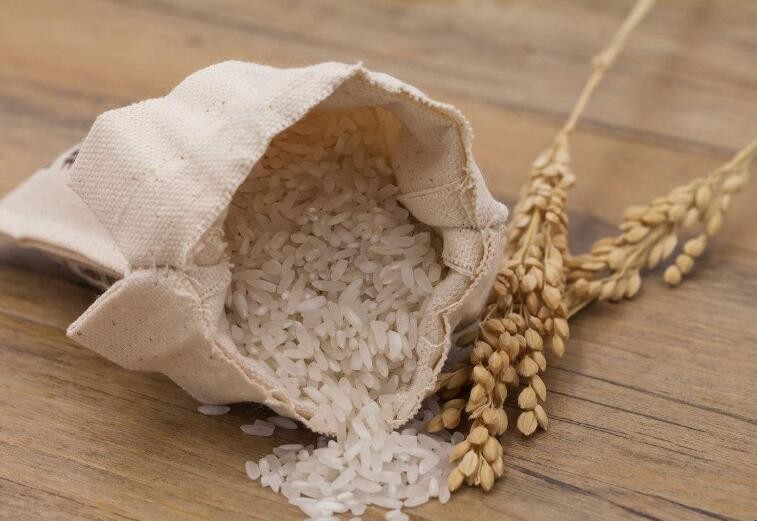 夏季大米的儲存方法有哪些