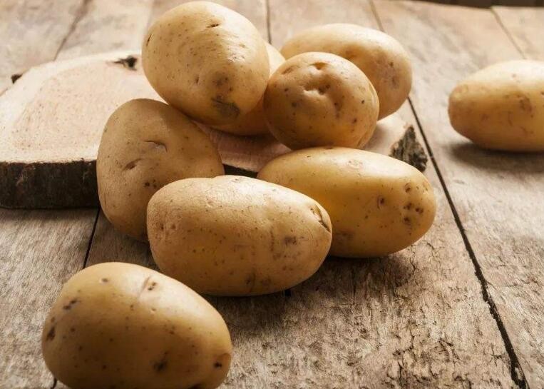 土豆怎麼存放不會發芽