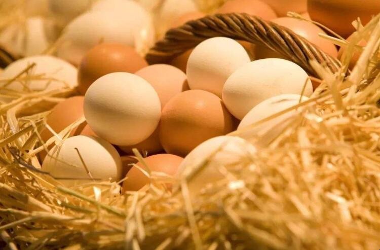 雞蛋怎麼保存新鮮不變質